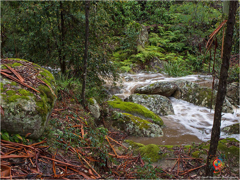Wombolly